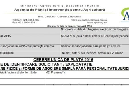 cerere formular o 1