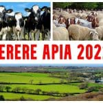 cerere unica apia 2022 o