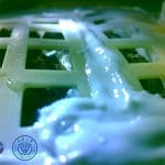 china bumbac cultivat pe luna o 1