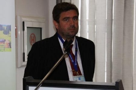 cimi enache o 1