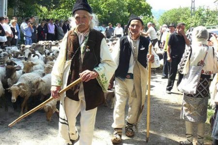 ciobanii la munte o 1