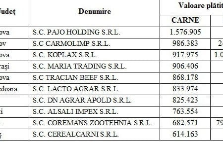 clasament apia o 1