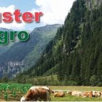 cluster coperta o