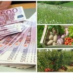 colaj agricultura ecologica o