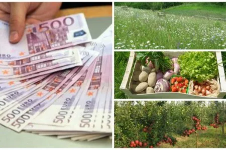 colaj agricultura ecologica o