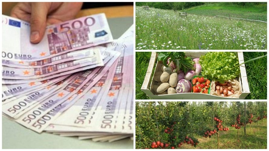 colaj agricultura ecologica o