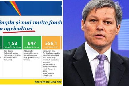 colaj ciolos raport o