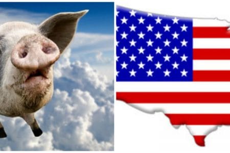 colaj export porc o