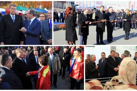 colaj iohannis indagra o