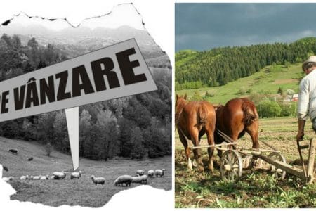 colaj pamant taran o 1