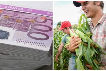colaj plata tineri o