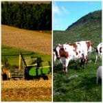 colaj registru agricol o