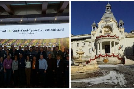 colaj syngenta viticultura o
