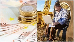 Plată subvenții APIA: Cum se fac controalele APIA anul acesta! Mesajul șefului APIA!