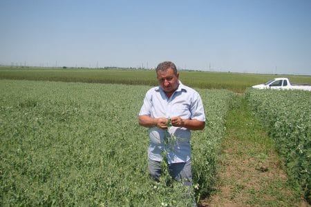 constantin manta fermier braila o