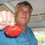 constantin petre capsunar o 1