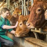 control veterinar ferme o