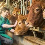 control veterinar ferme o