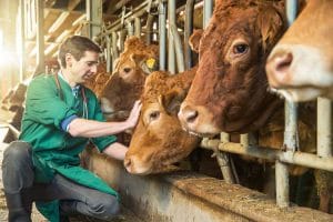 Ziua Națională a Medicului Veterinar 1 control veterinar ferme o