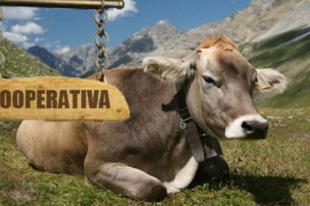 cooperativa romania o