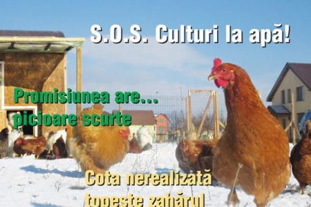 coperta 1 1 14febr20151 o 1