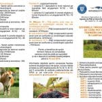 coperta 2019 o 1