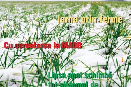 coperta ferma ian 2015 o 1