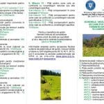 coperta scheme o