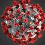 coronavirus covid19 o