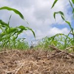 corteva agriscience soil day o