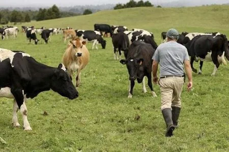 crescatori vaci o