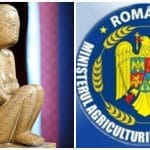 cumintenia si madr o