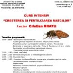 curs intensiv 14 02 o