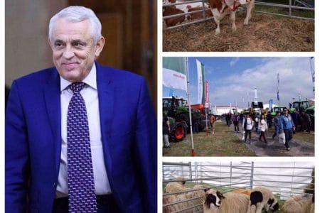 daea agraria 2017 o