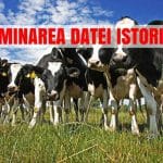 data istorica vaci o
