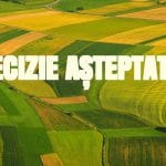 decizie parlament o