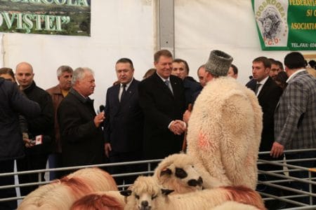deschidere indagra 2016 11 o