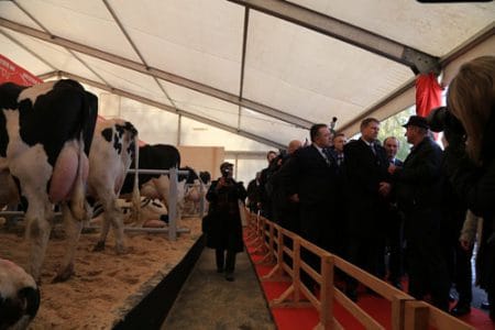deschidere indagra 2016 14 o