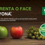 diferenta o face revyona o