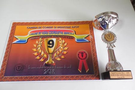 diploma cooperativa o