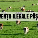 dna pasune subventii o