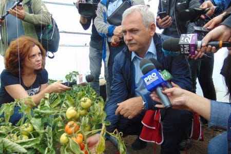 dragnea coperta rosii o