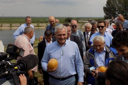 dragnea daea calarasi o