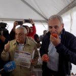 dragnea daea rosii o