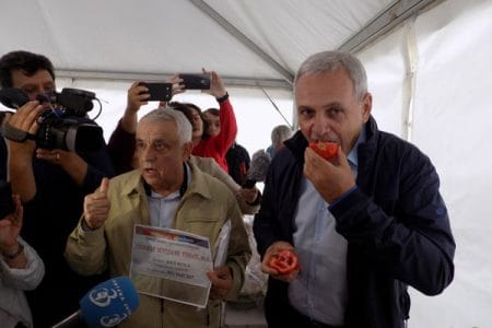 dragnea daea rosii o
