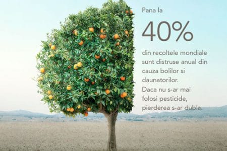 ecpa wow tree cut o