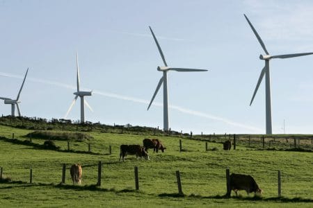 eoliana o 1
