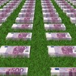 euro din iarba o 1