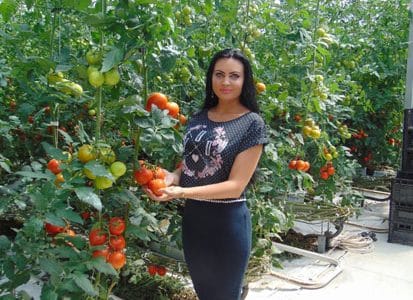 evelina fermiera o 1