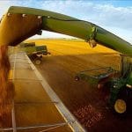 export mare grau o
